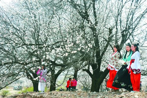 完整比分网 体育赛事实时数据